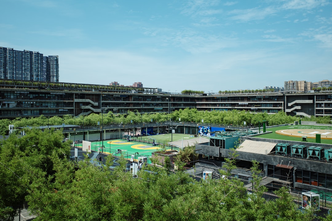 塑胶跑道材料多少钱一平方？2024年最新价格对比与选购指南
